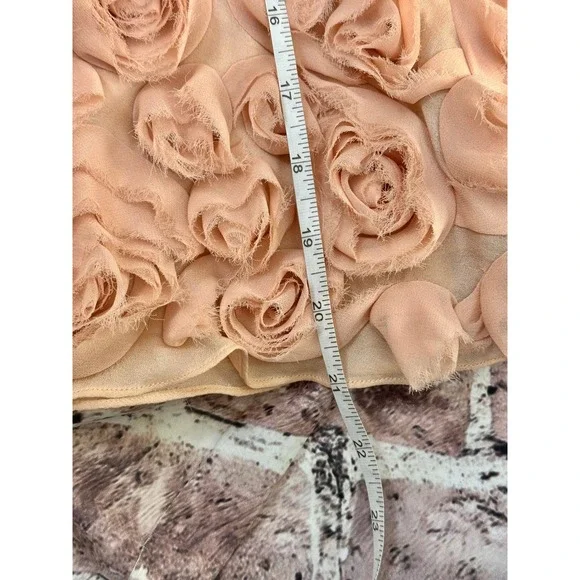 Talbots Silk Skirt 8P Petite Blush 3D Floral Rosette Hem Romantic Cottagecore - Picture 15 of 16
